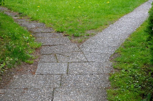 Specify Alternate Text