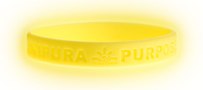 Class 75 Focus Wristband